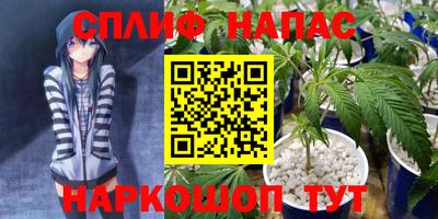 эйфоретик Славгород