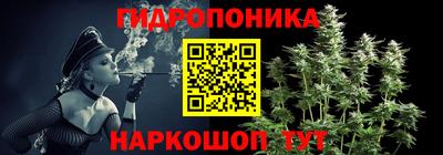 стаф Волгодонск