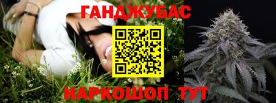 прущие грибы Будённовск