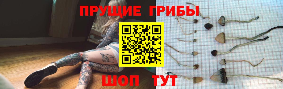 Галлюциногенные грибы ЛСД  Псилоцибиновые грибы прущие грибы  Томск  Вход с VPN 